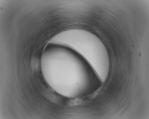 X0000080720125200612150848