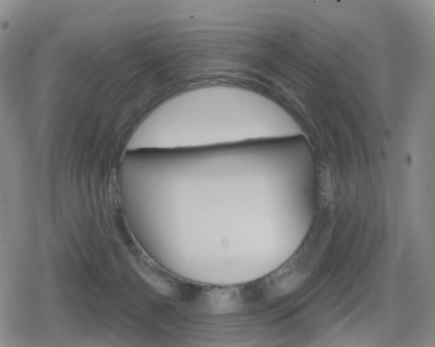 X0000080720126200612150848