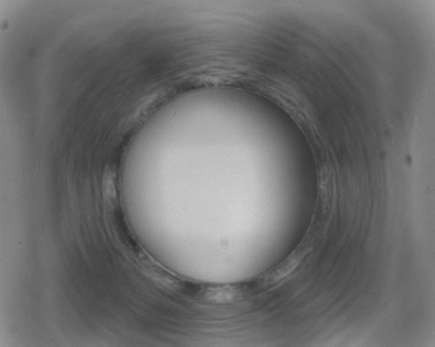 X0000080720127200612150848