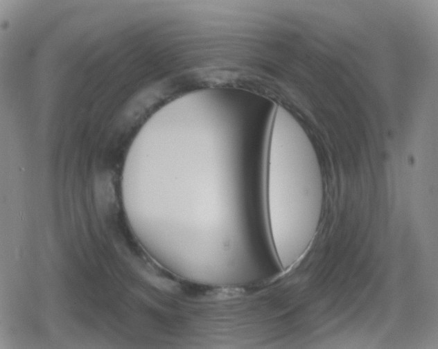 X0000080720128200612150848