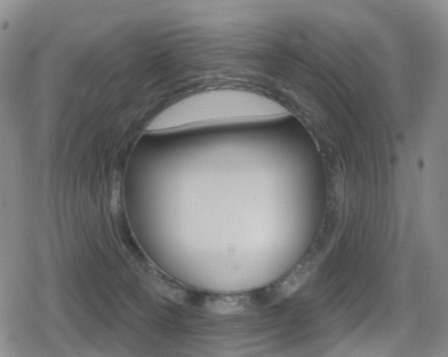 X0000080720129200612150848