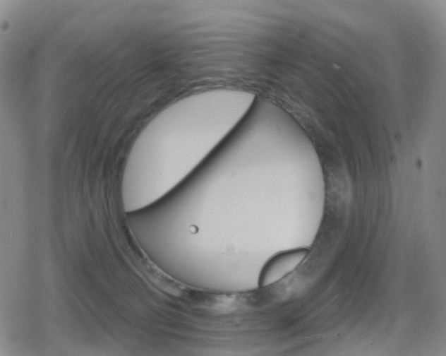 X0000080720130200612150848