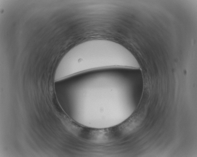 X0000080720131200612150848