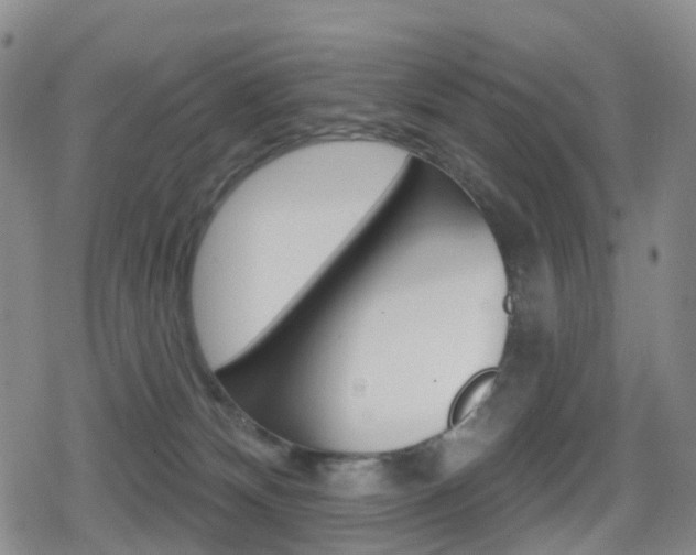 X0000080720132200612150848