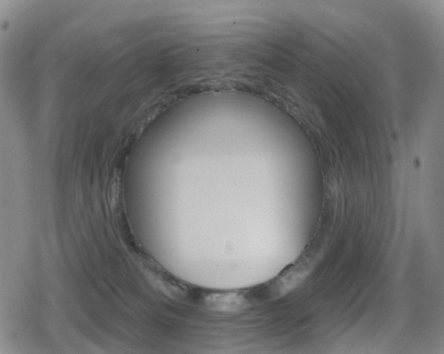 X0000080720133200612150848