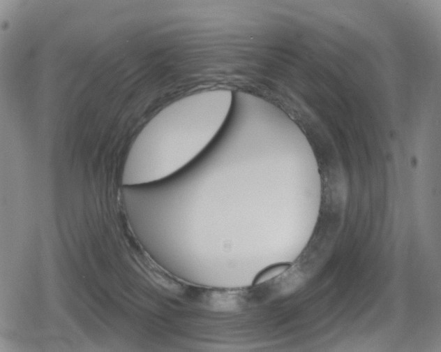 X0000080720134200612150848