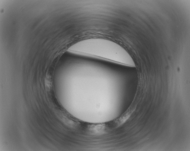 X0000080720135200612150848