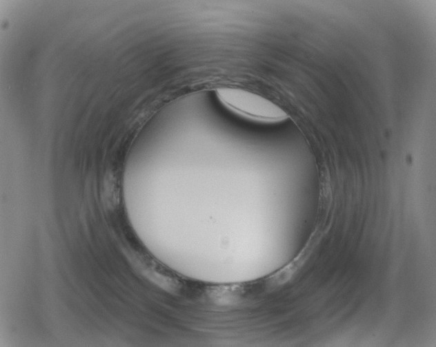 X0000080720136200612150848