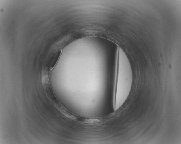 X0000080720137200612150848