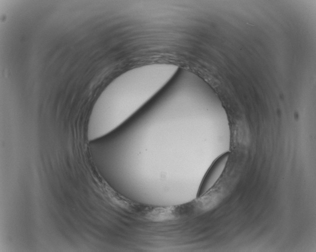 X0000080720138200612150848