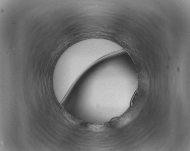 X0000080720139200612150847