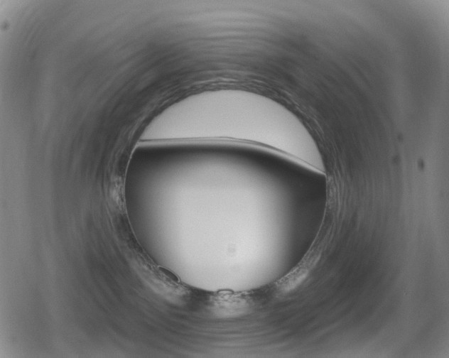 X0000080720141200612150847