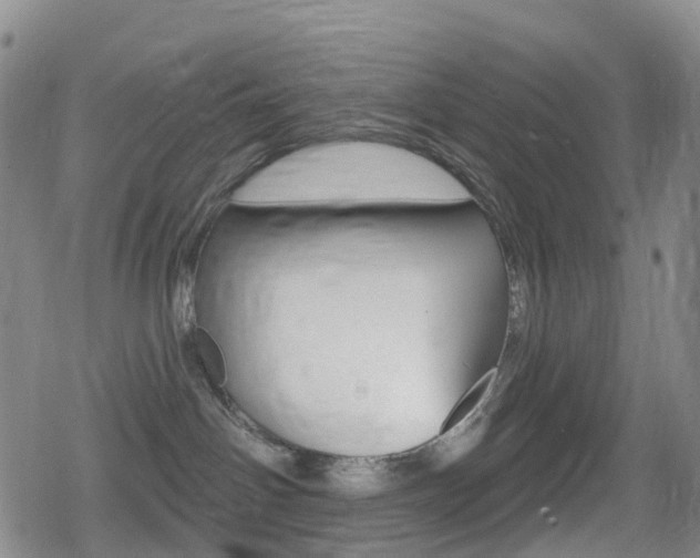 X0000080720142200612150847