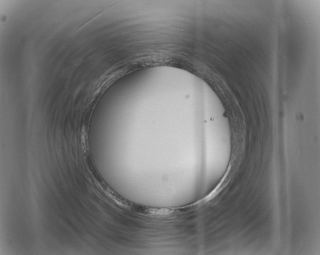 X0000080720144200612150847