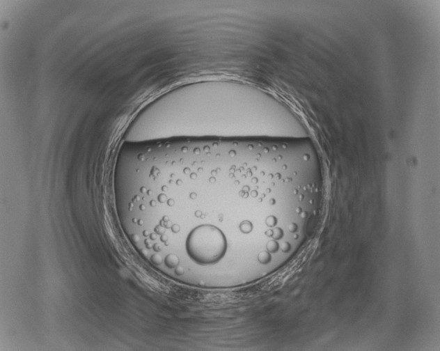 X0000080720145200612150847