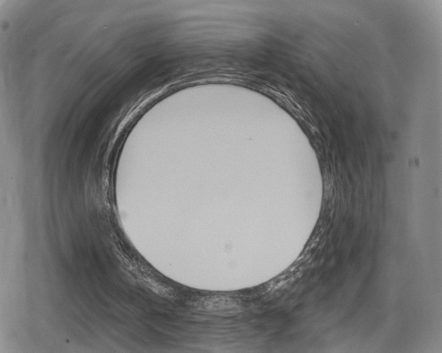 X0000080720146200612150847