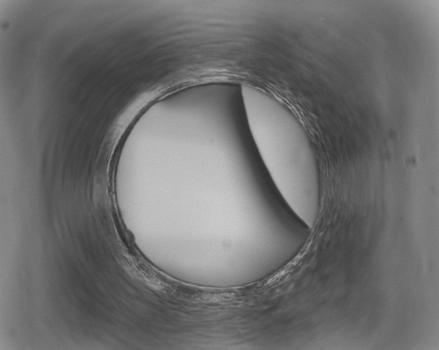 X0000080720147200612150847