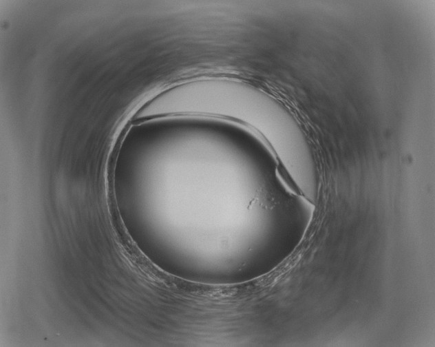 X0000080720148200612150847