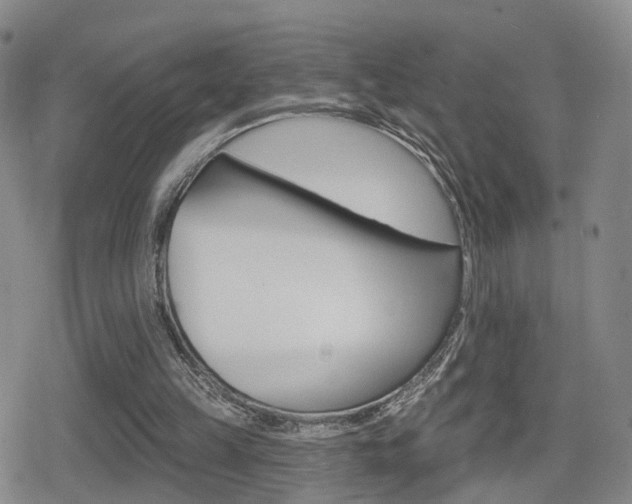 X0000080720149200612150847