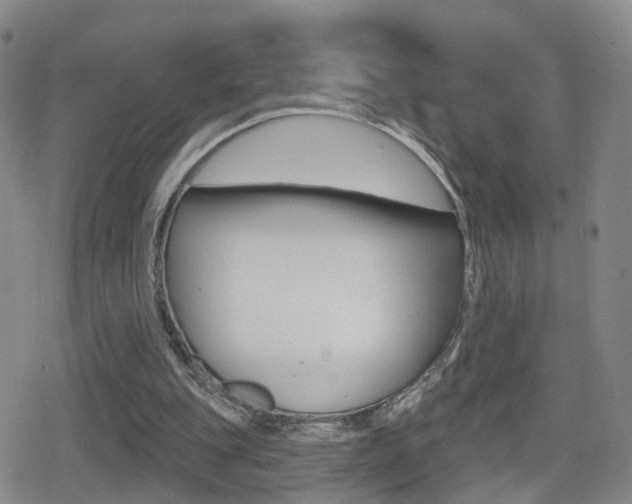 X0000080720151200612150847