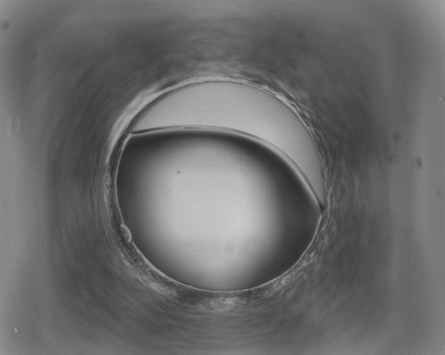 X0000080720152200612150847