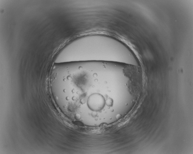 X0000080720153200612150847