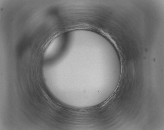 X0000080720154200612150847