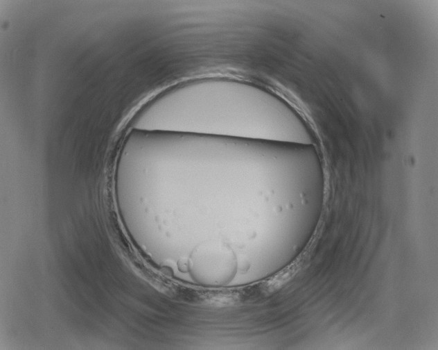 X0000080720155200612150847