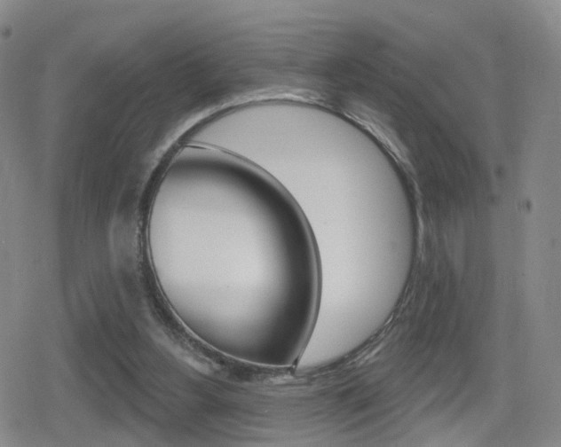 X0000080720156200612150847