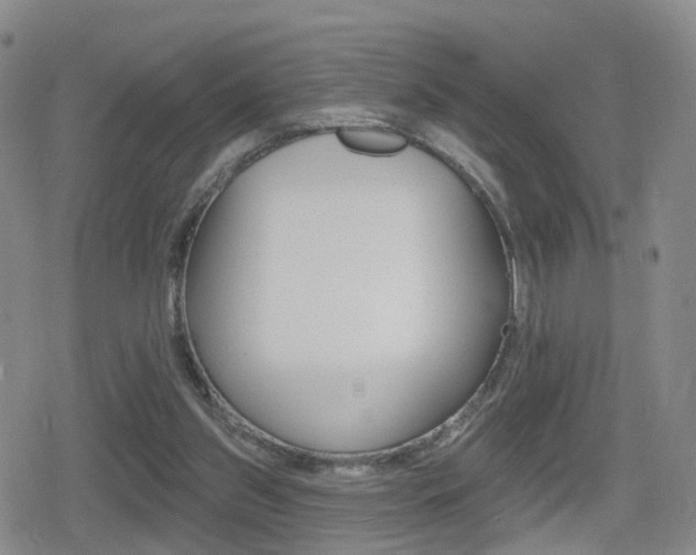 X0000080720157200612150847