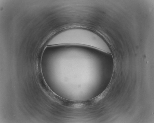 X0000080720158200612150847