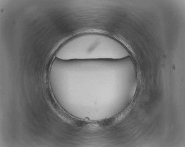 X0000080720159200612150847