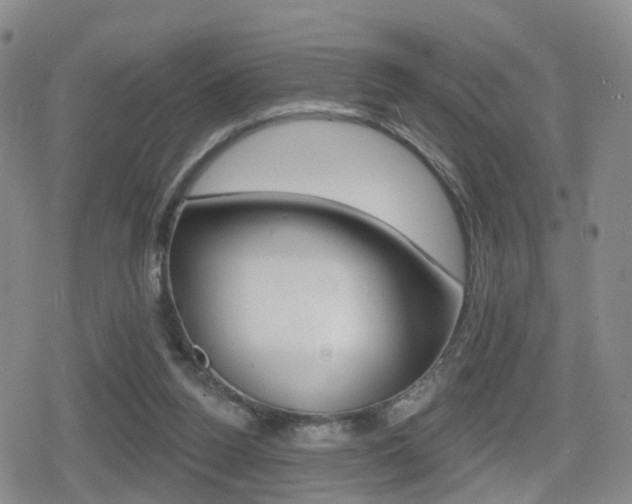 X0000080720160200612150847