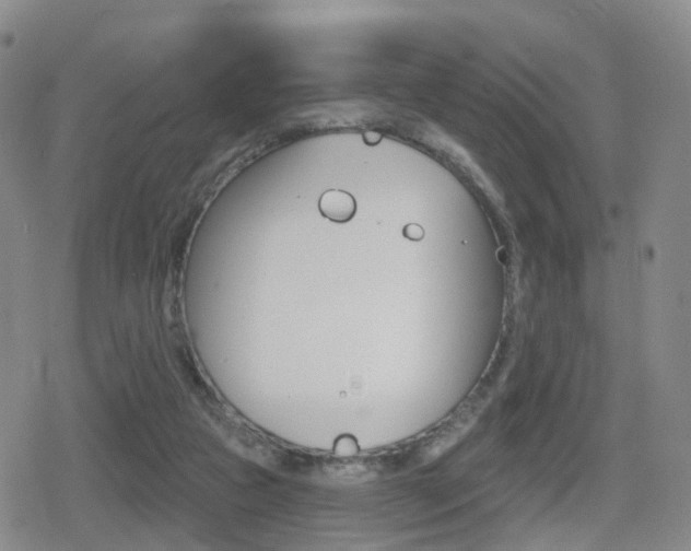 X0000080720161200612150847