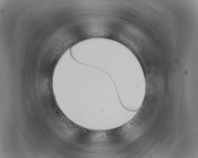 X0000080720162200612150847