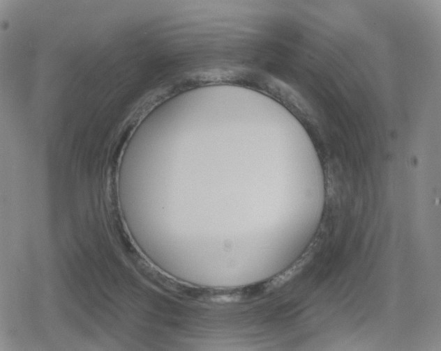 X0000080720163200612150847