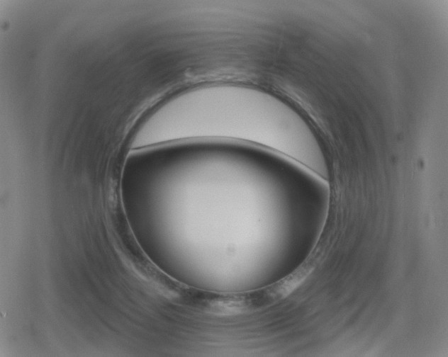 X0000080720164200612150847