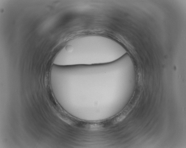 X0000080720165200612150847