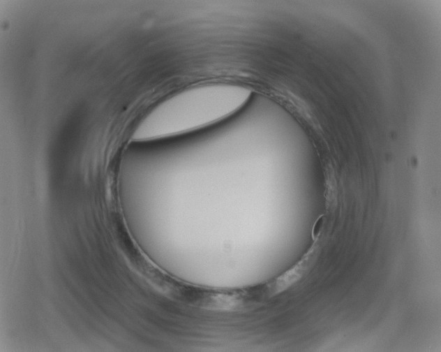 X0000080720166200612150847