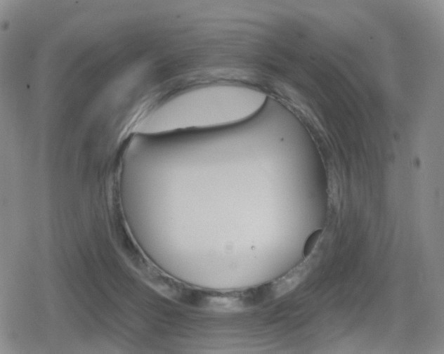 X0000080720167200612150847