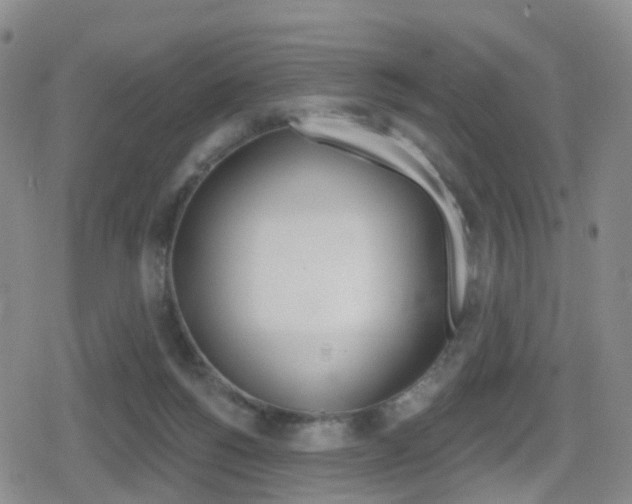 X0000080720168200612150847