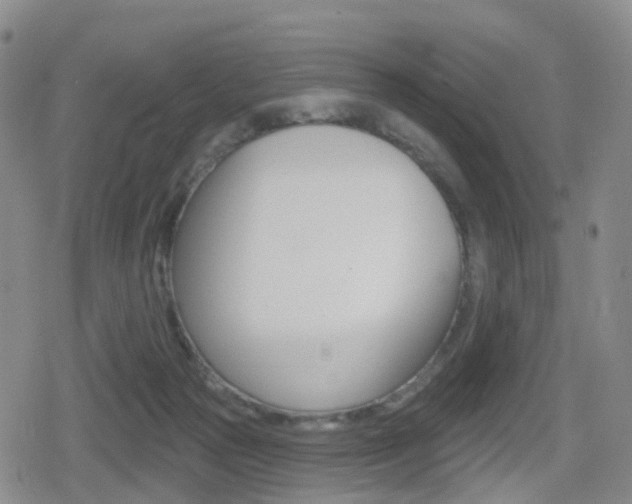 X0000080720169200612150847