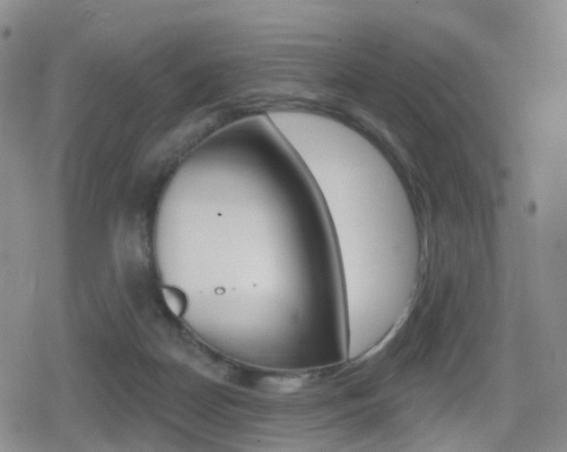 X0000080720170200612150847