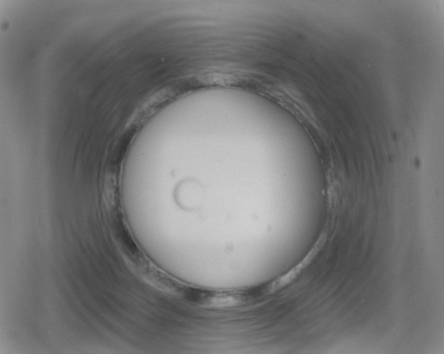 X0000080720171200612150847