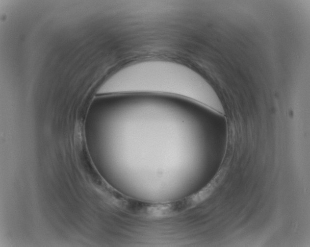 X0000080720172200612150847