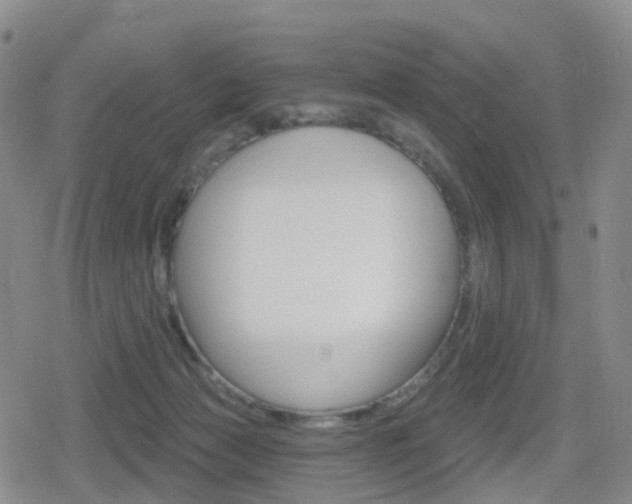 X0000080720173200612150847