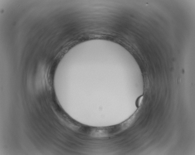 X0000080720174200612150847