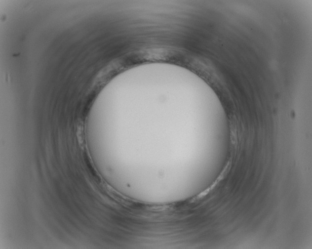 X0000080720175200612150847