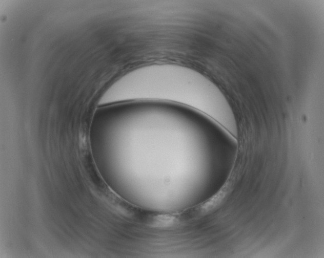 X0000080720176200612150847