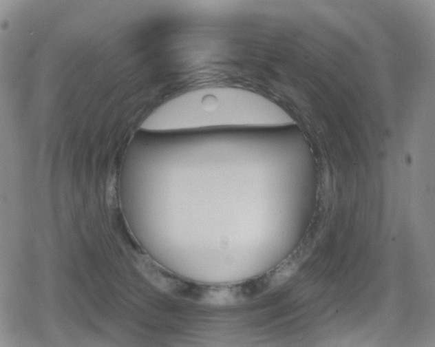 X0000080720177200612150847